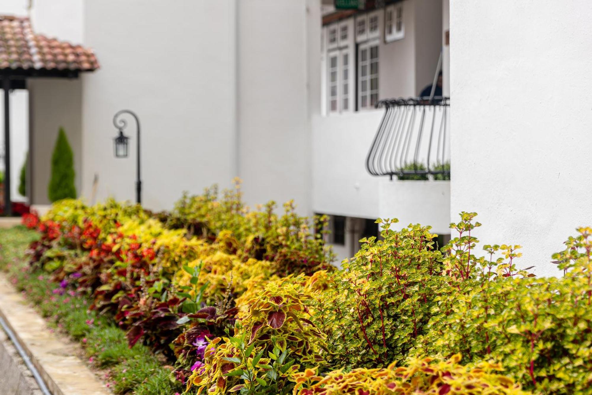 Springhill Resort Cameron Highlands Exteriér fotografie